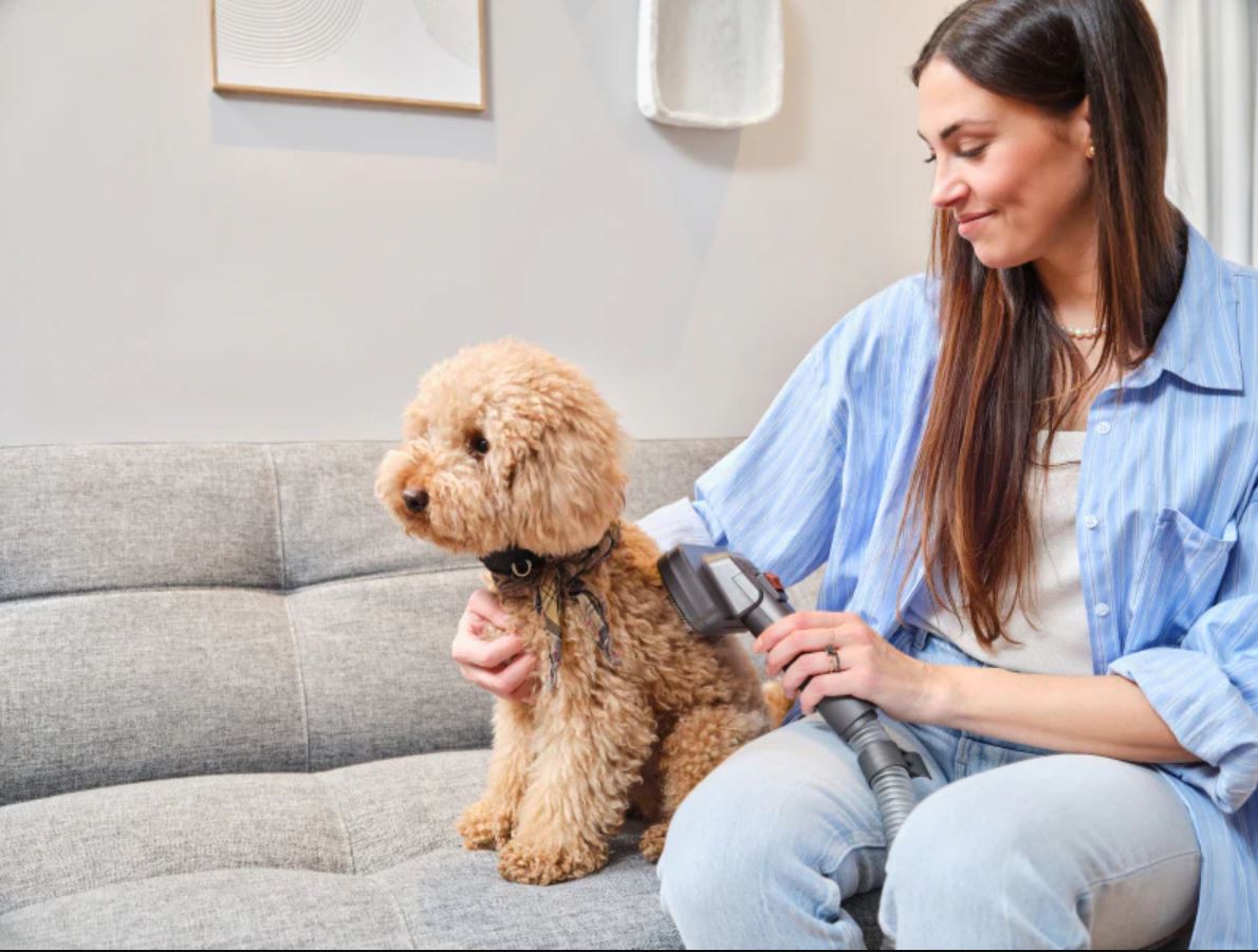 ETA Terier 3-in-1 stick vacuum cleaner with pet care kit